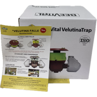 trampa avispas selectiva gallega